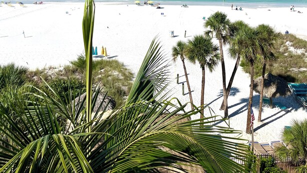 A beach with white sand, palm trees, and a clear blue sky. - On the Beach! Updated 2bd/2bth. Escape the cold, spend Christmas in Paradise! (Siesta Key)