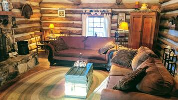 TV connectée, cheminée, lecteur de DVD