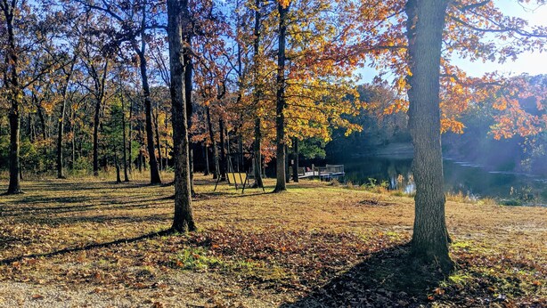 Ein Park mit Bäumen, einer Schaukel und einem See.