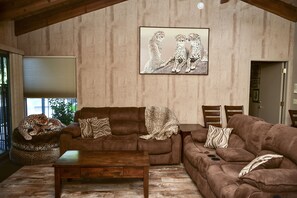 Smart TV, fireplace, stereo
