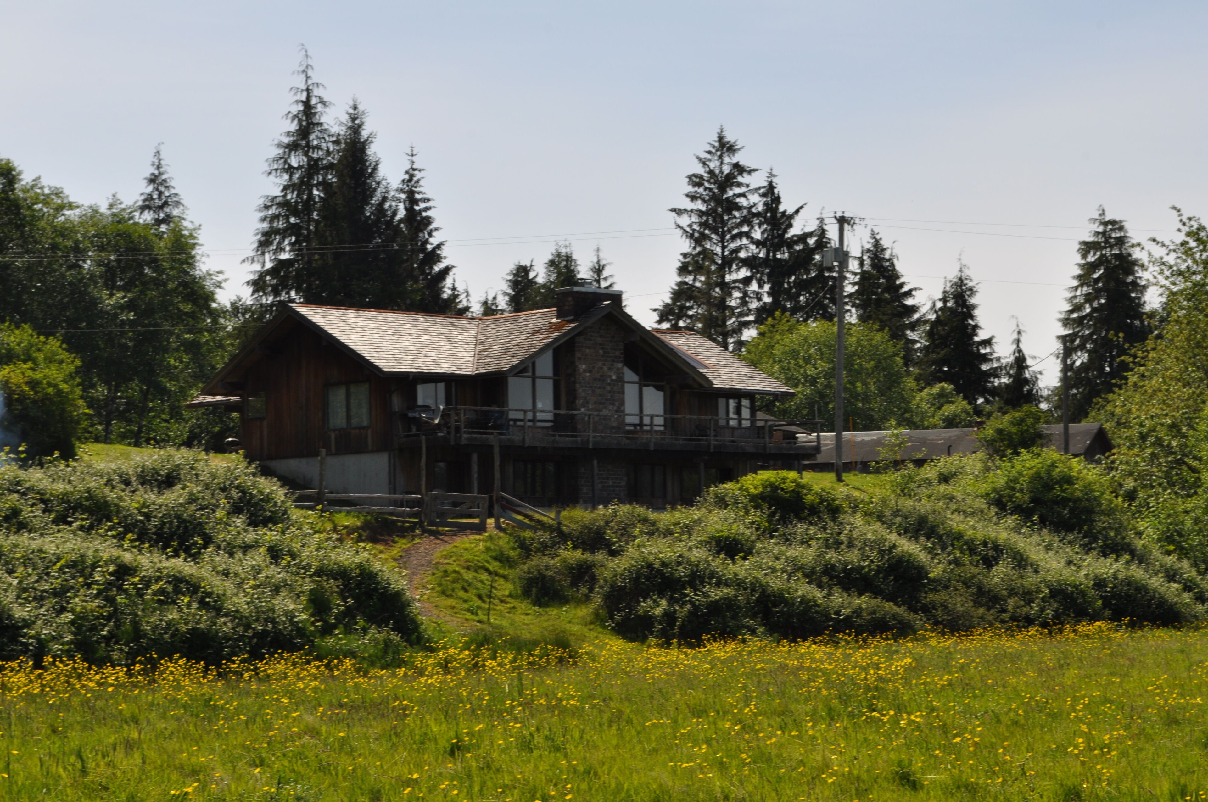 Spacious Home on the Bogachiel River, Easy Access to Olympics