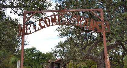 1 Room Cabin getaway, quiet country views, wildlife, pet friendly