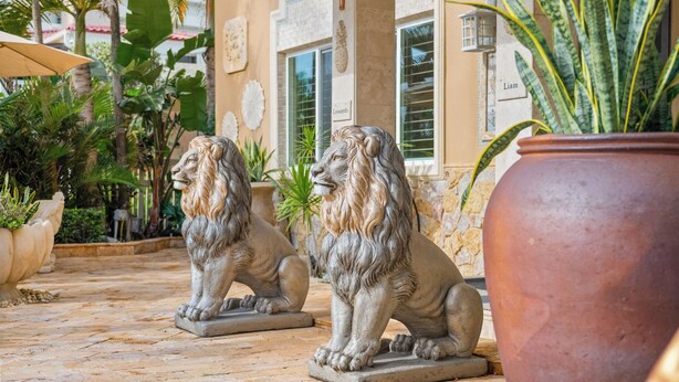 Dos estatuas de león en un patio con plantas en macetas y una maceta de terracota grande.