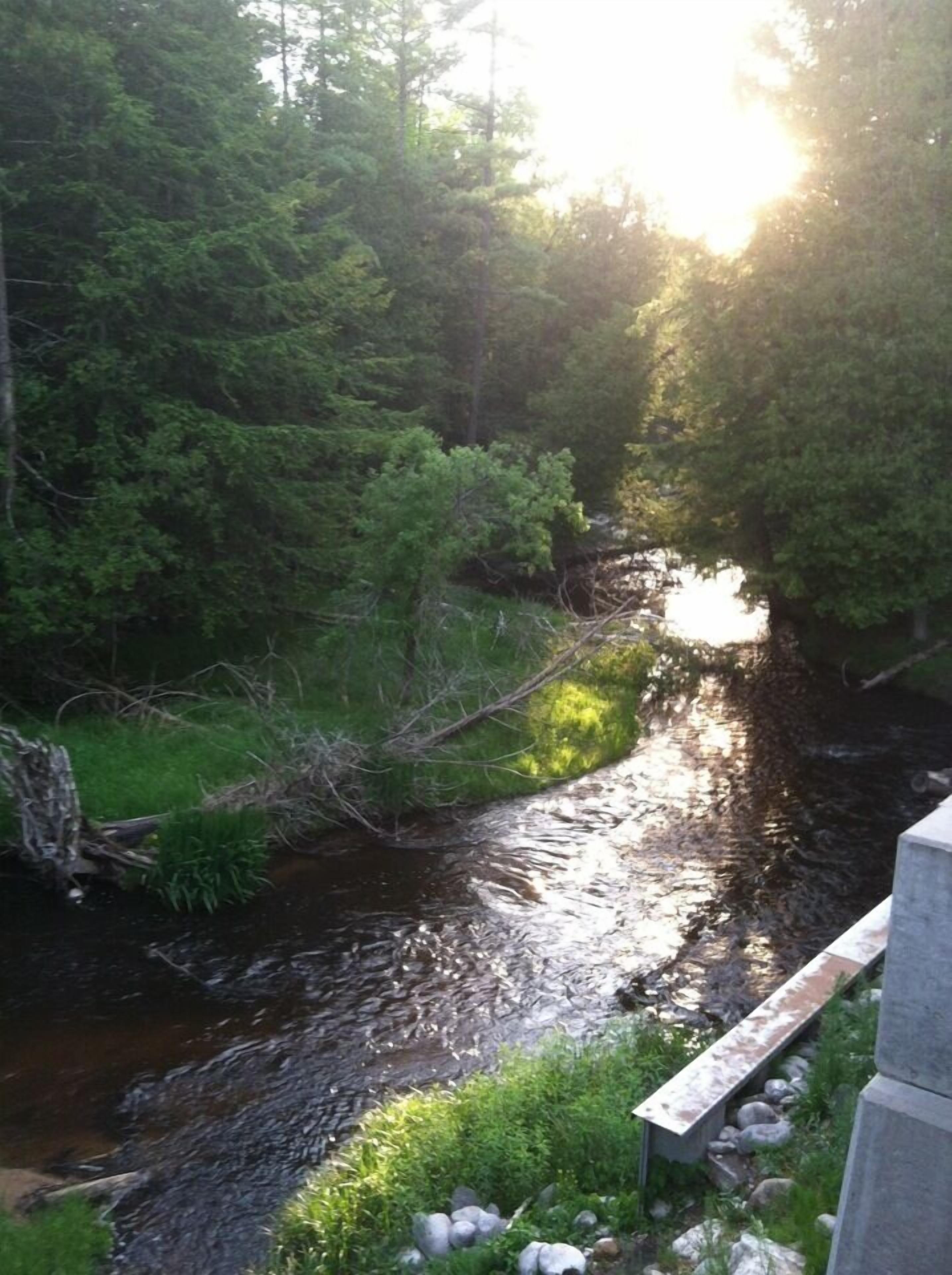 Une rivière traverse une zone boisée et un pont enjambe cette rivière.