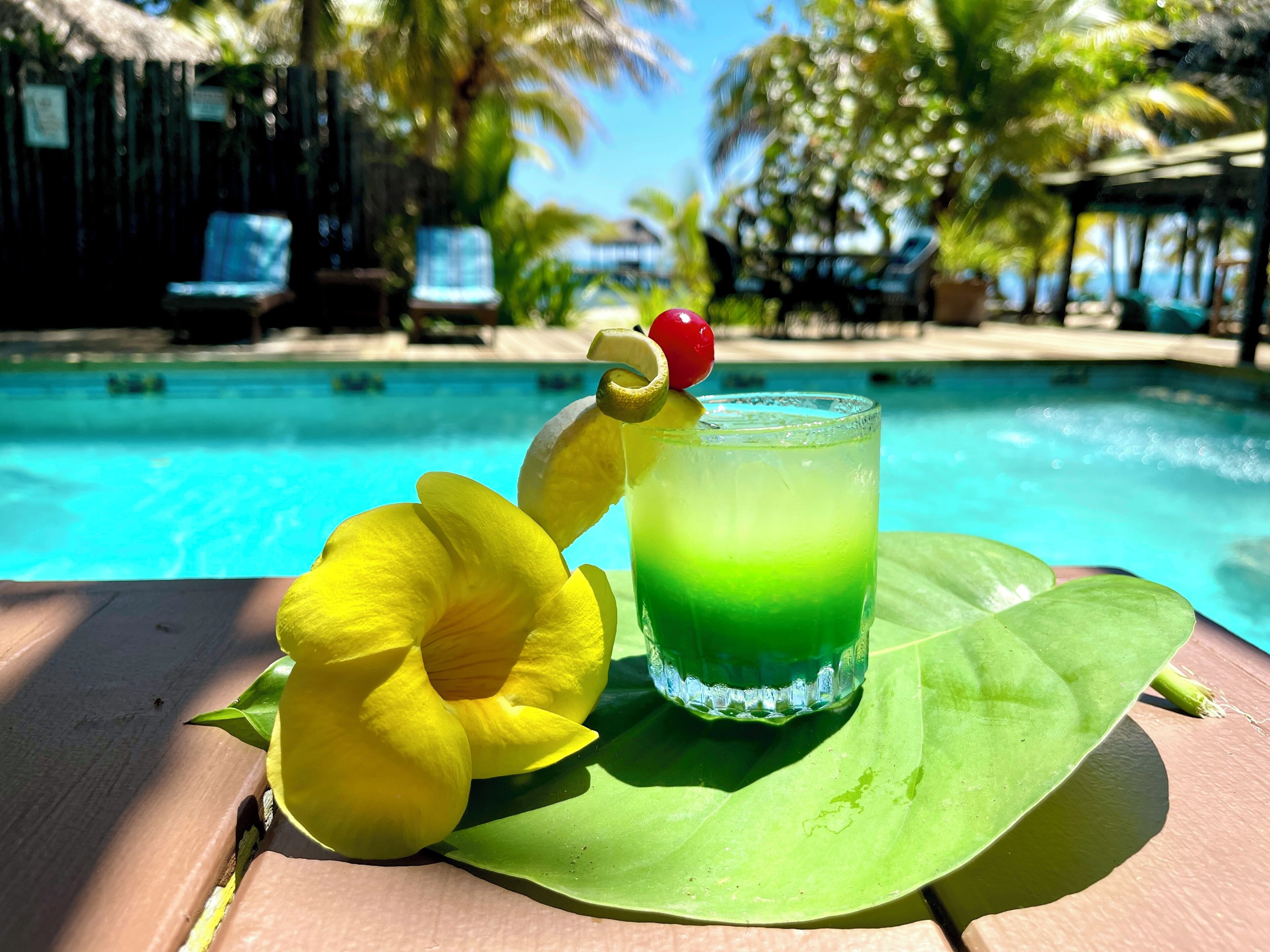 Escena tropical junto a la piscina con un vaso de bebida verde, una flor amarilla y una guarnición de fruta roja.