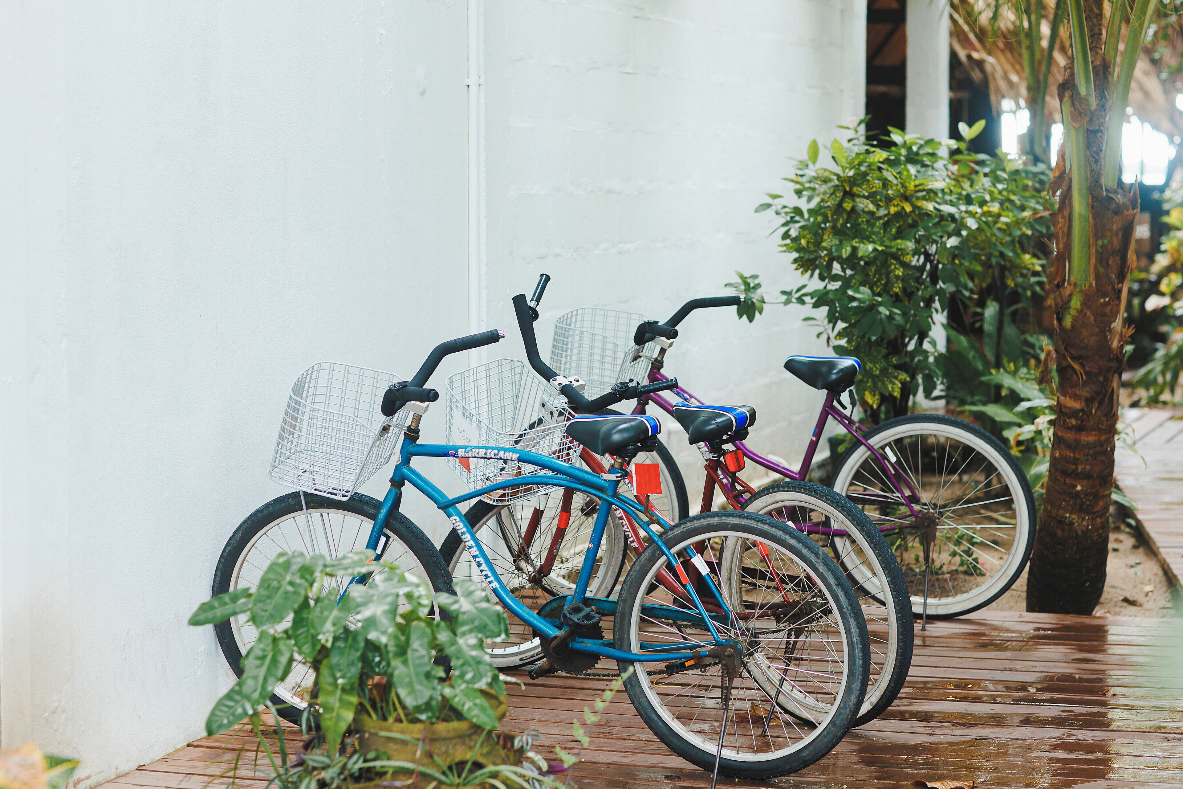 Une rangée de vélos est garée contre un mur blanc, avec une terrasse en bois et de la verdure en arrière-plan.