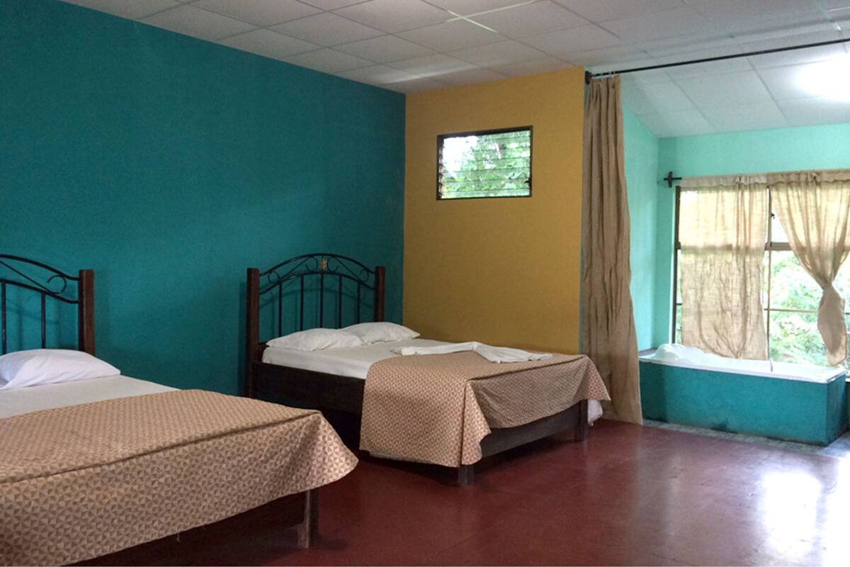 Habitación clásica con 1 cama matrimonial o 2 individuales, 2 camas matrimoniales, para no fumadores | Wifi gratis