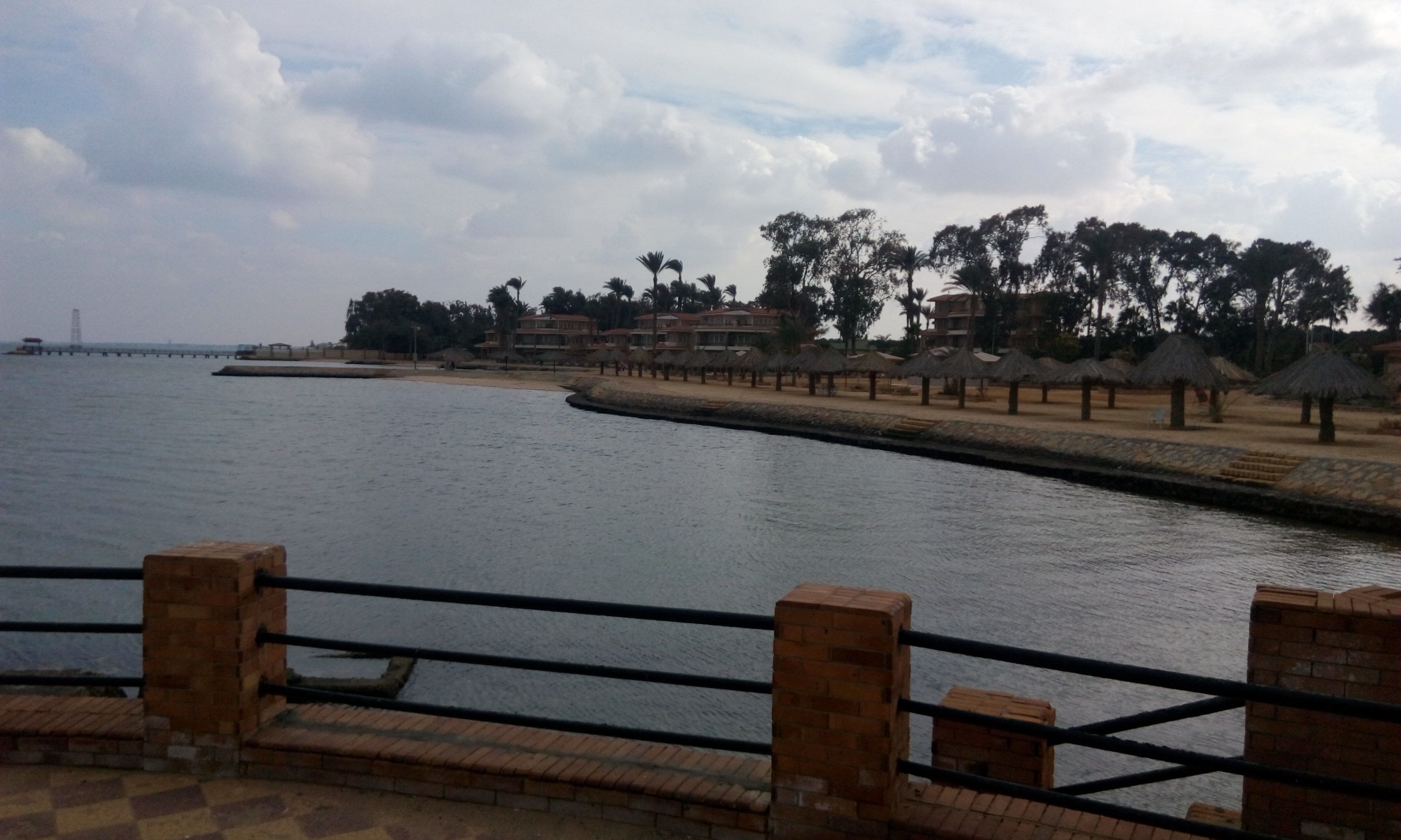 A riverside walkway with a brick railing, palm trees, and buildings in the background.