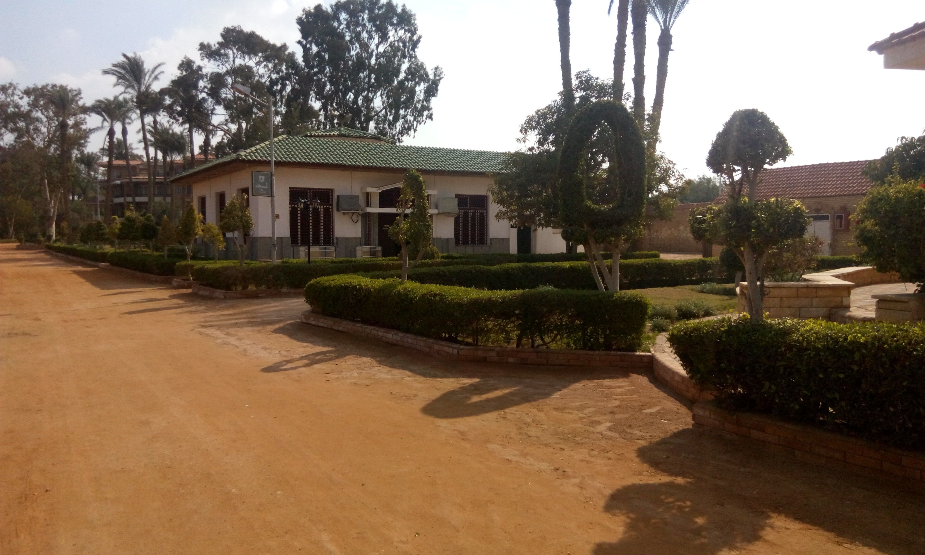 A building with a green roof, surrounded by well-maintained hedges and palm trees.