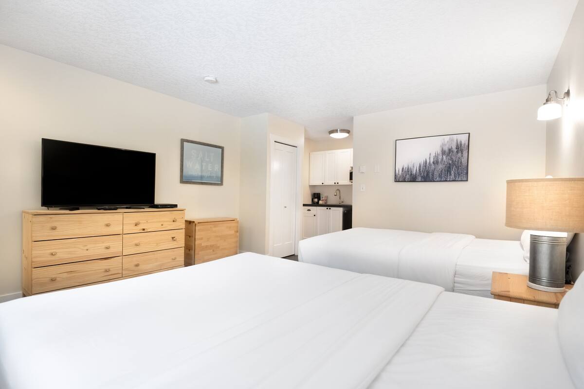 A hotel room with two beds, a TV on a dresser, a kitchen area, and a painting on the wall.