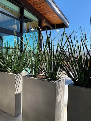 Een modern gebouw met grote ramen en betonnen plantenbakken met hoge planten.