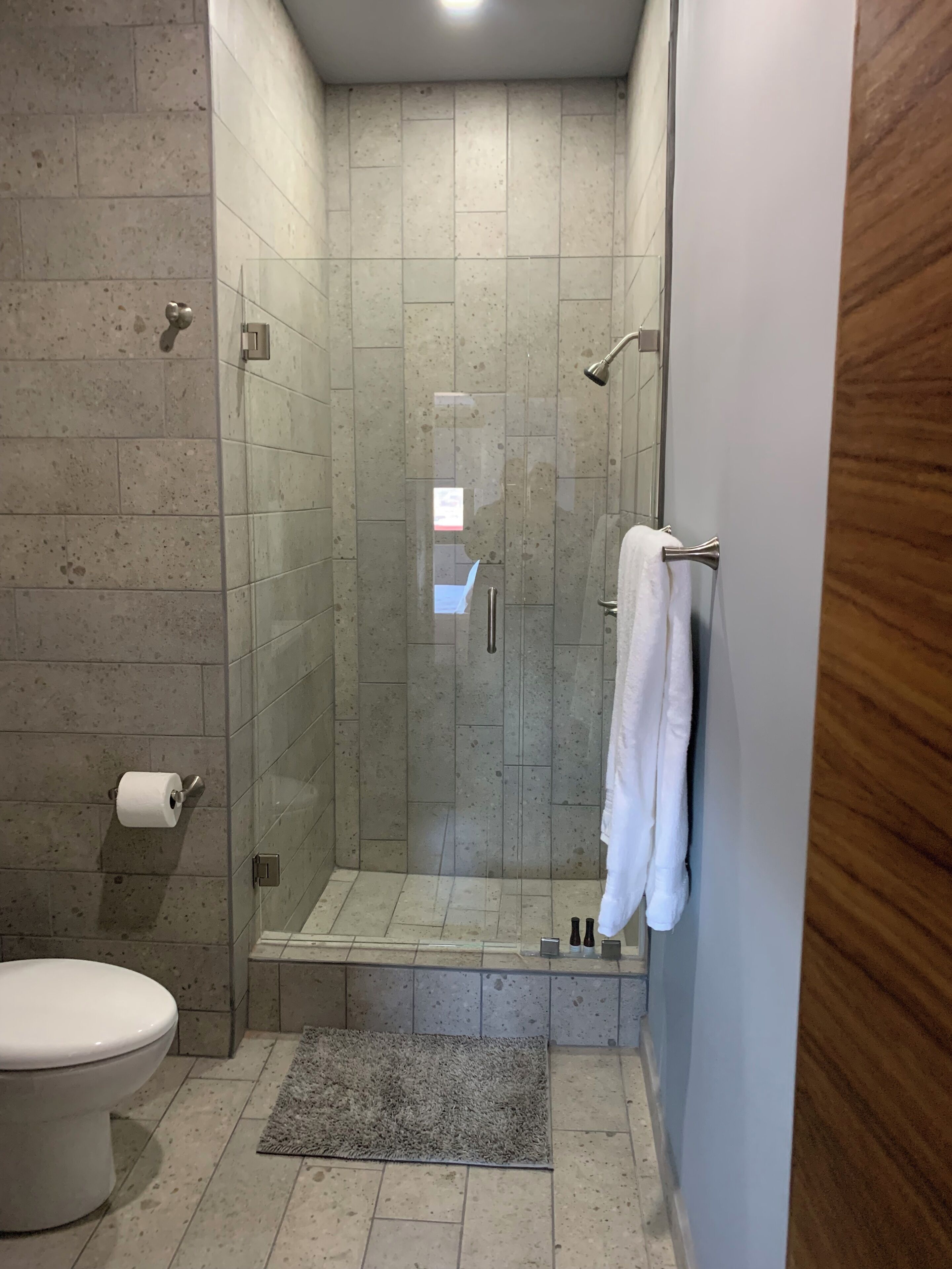 Una ducha con puerta de vidrio, un inodoro y un perchero para toallas.