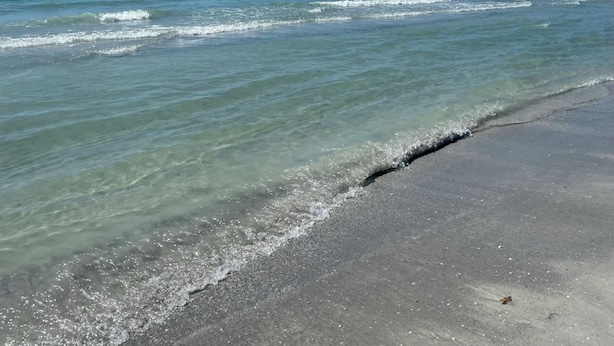 A beach with clear water, a sandy shore, and a clear sky. - BeachHouse Bungalow 🏝Spacious One Level Single Family  Home🏖Walk to the Beach! (Redington Beach)