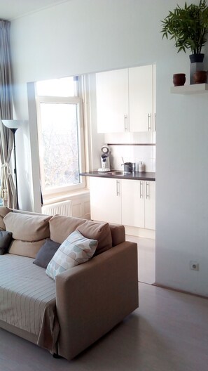 スマートテレビ、DVD プレーヤー、書庫、ビデオライブラリ