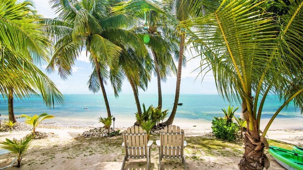 A beach with two Adirondack chairs facing the ocean, surrounded by palm trees and a boat on the sand.