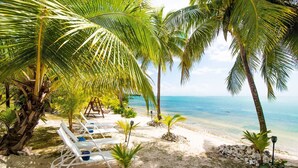 A beach with white lounge chairs, palm trees, and a clear view of the ocean.