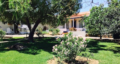 Maison de campagne Vale de Camelos, Alentejo, Portugal.