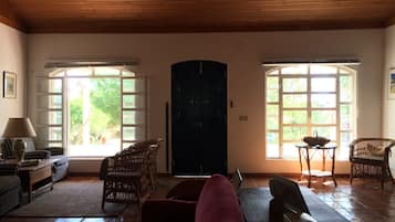 TV connectée, cheminée, lecteur de DVD, livres