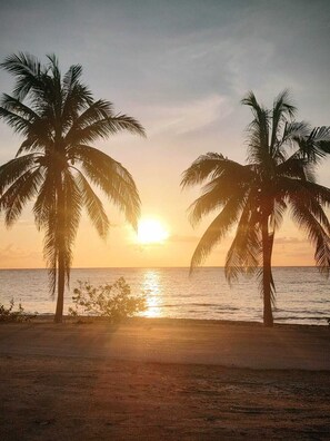 Aan het strand, ligstoelen aan het strand, strandlakens
