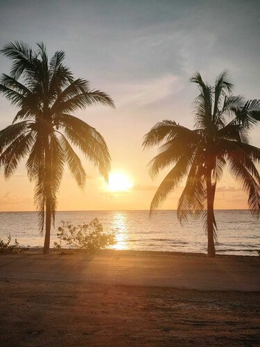 Private Ocean Front Villa - Cozumel  - 2 Bedrooms - Great Snorkeling