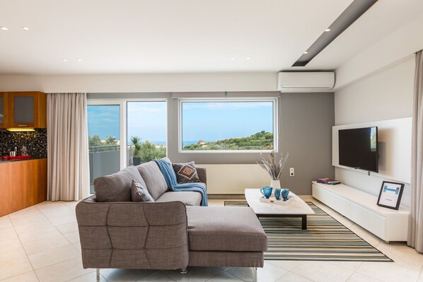 Televisión de pantalla plana, chimenea, libros y videoteca 