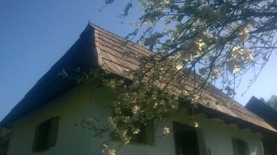  Transylvanian Mountain Paradise 1--experience and live the ancient atmosphere