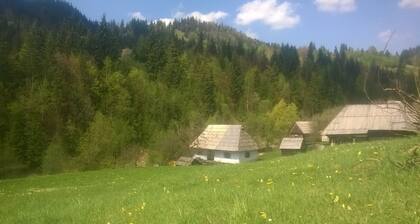 Transylvanian Mountain Paradise 1--experience and live the ancient atmosphere