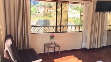 30-inch TV with satellite channels, printers