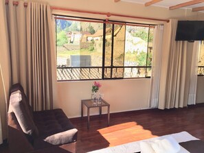 Televisión de 30 pulgadas con canales vía satélite y impresora 