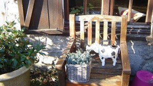 A rustic wooden bench with a cow figurine, a wicker basket, and a potted plant in front of a stone wall and wooden window shutters. - cozy, comfortable, complete, spacious 6-person. holiday home with heated swimming pool (Hastière)