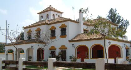 Chalet Cortijo ideal for families or groups with a pool 15 minutes from Seville
