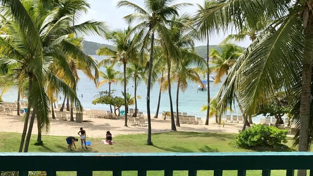 A beach view with palm trees, a pool, and lounge chairs. - Property 1156542    "Blue Waters Beach Front Villa in Paradise"  (St Thomas)