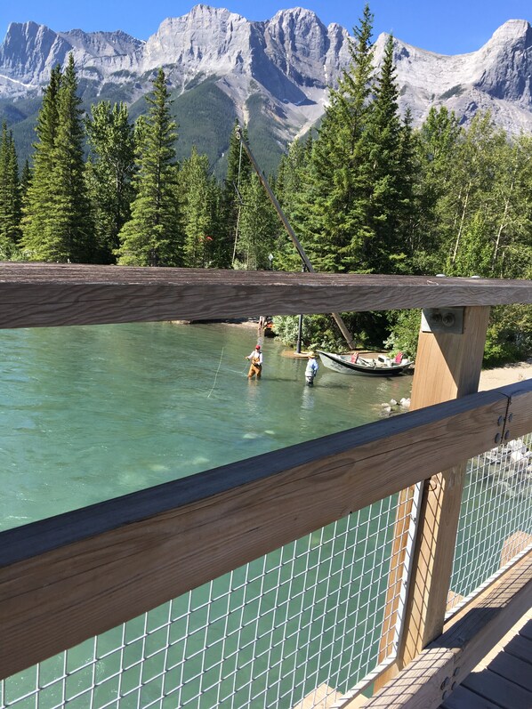 Terrain de l’hébergement 