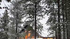 A lodge with a wooden exterior, surrounded by snow-covered trees. - SPACIOUS RETREAT NEAR YELLOWSTONE. FISHING, BOATING, HIKING, ATV & SNOWMOBILING (Island Park)