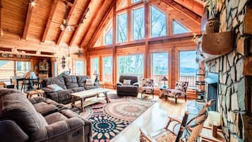 TV connectée, cheminée, jeux vidéo, lecteur de DVD