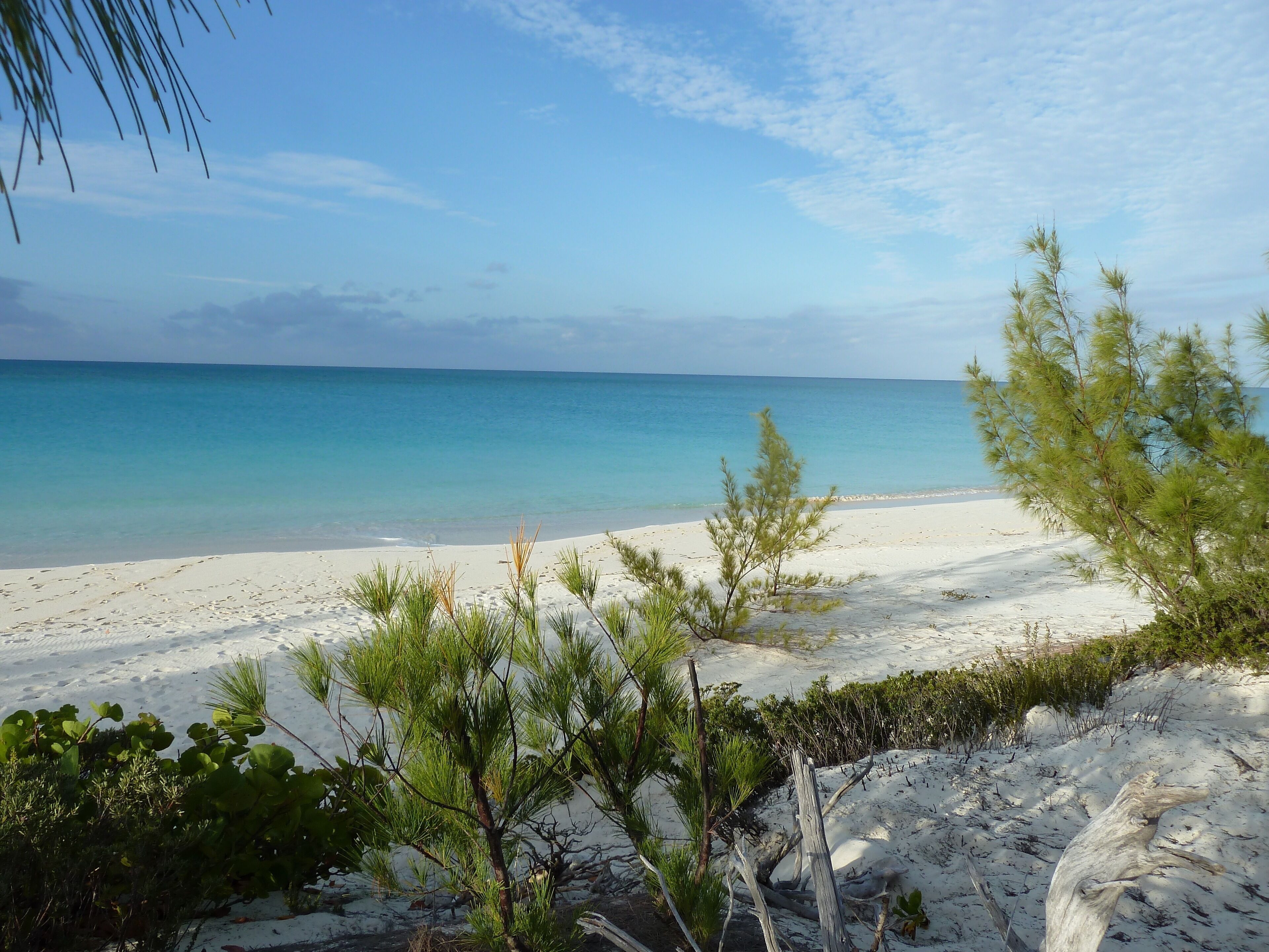 A beach with clear turquoise water, white sand, and sparse vegetation.
