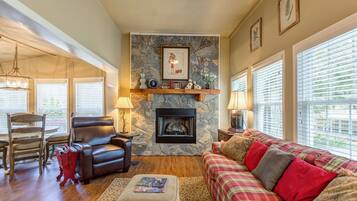 TV, fireplace, books