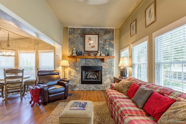 TV, fireplace, books