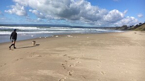 Una amplia playa de arena con huellas, un perro y una persona caminando.