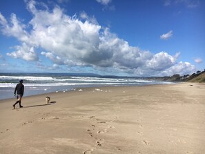Camastros y toallas de playa