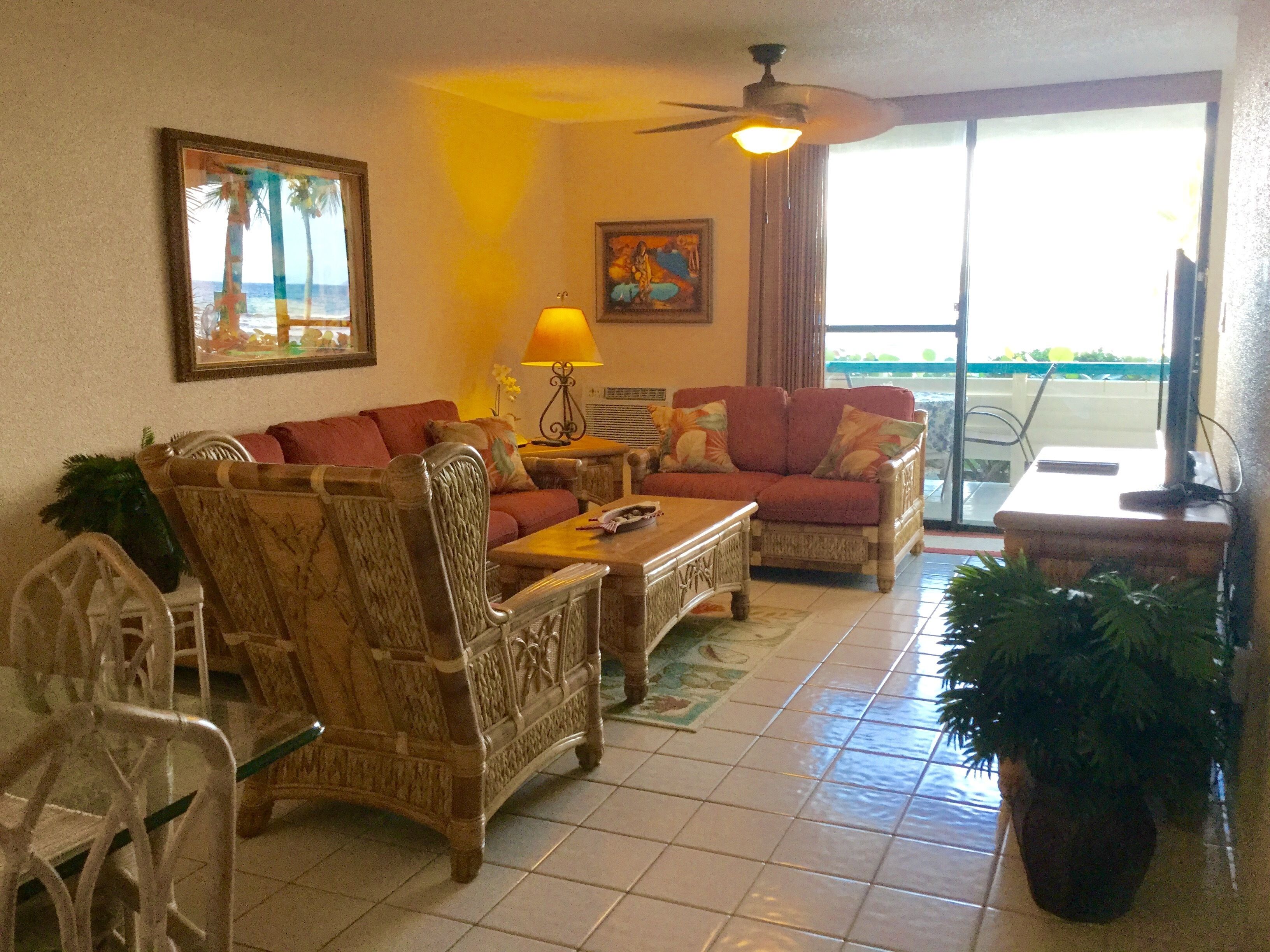 Smart TV, DVD player, books, stereo