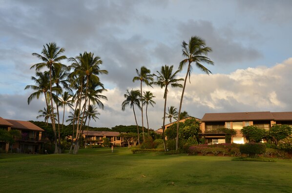 A resort with multiple buildings, palm trees, and a well-maintained lawn.