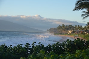 Playa en los alrededores, camastros y toallas de playa 