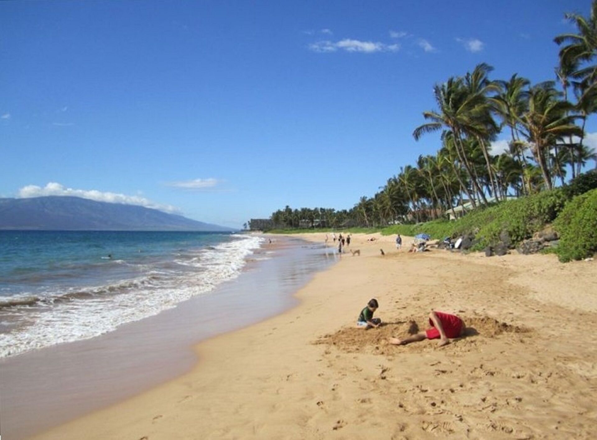 A beach with clear skies, palm trees, and a mountain in the background.