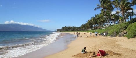 A beach with clear skies, palm trees, and a mountain in the background.