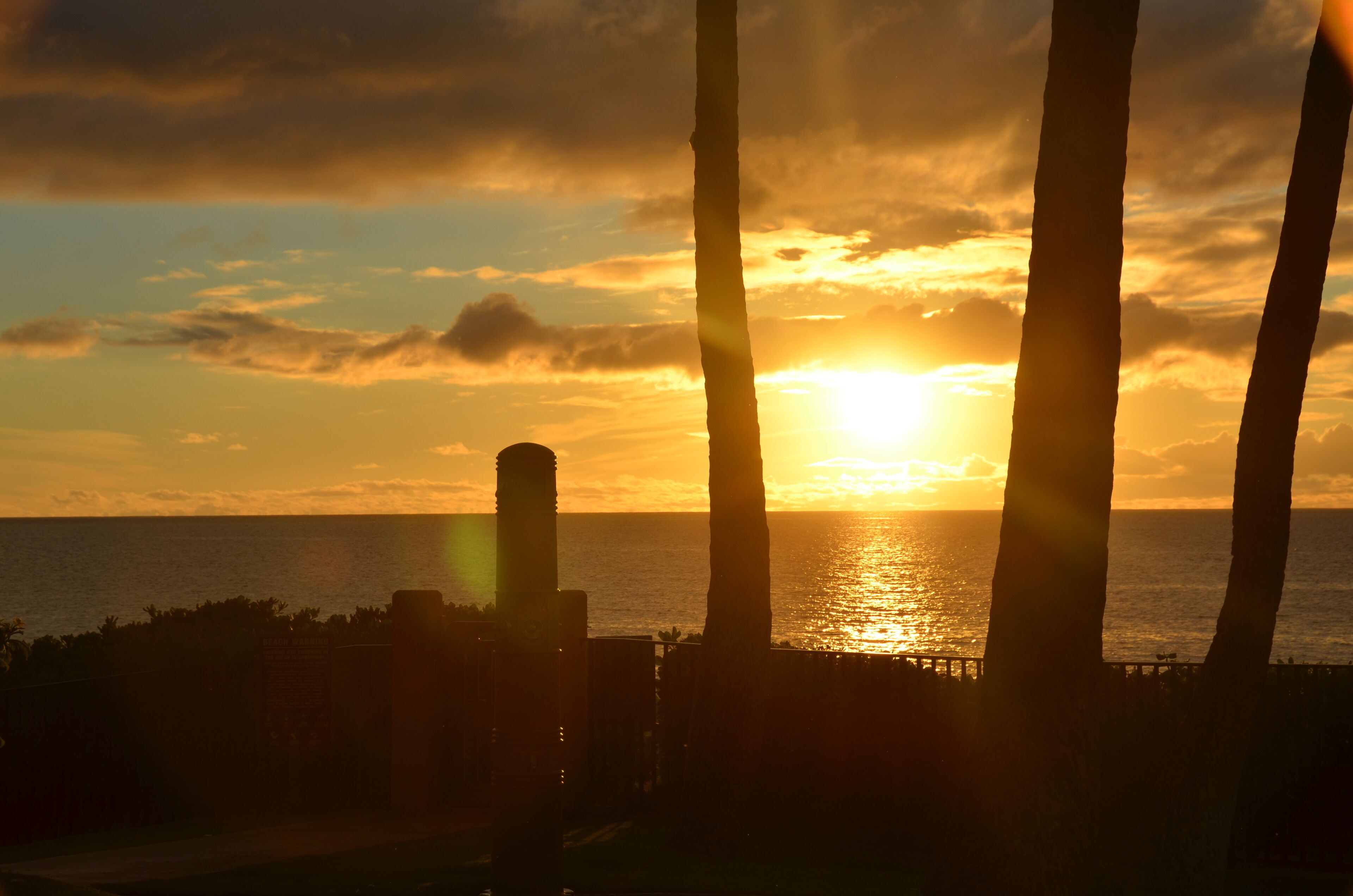 A sunset over the ocean with palm trees silhouetted against the sky.