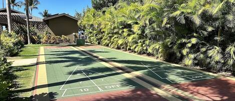 Una cancha de shuffleboard rodeada de abundante follaje y un pequeño edificio.