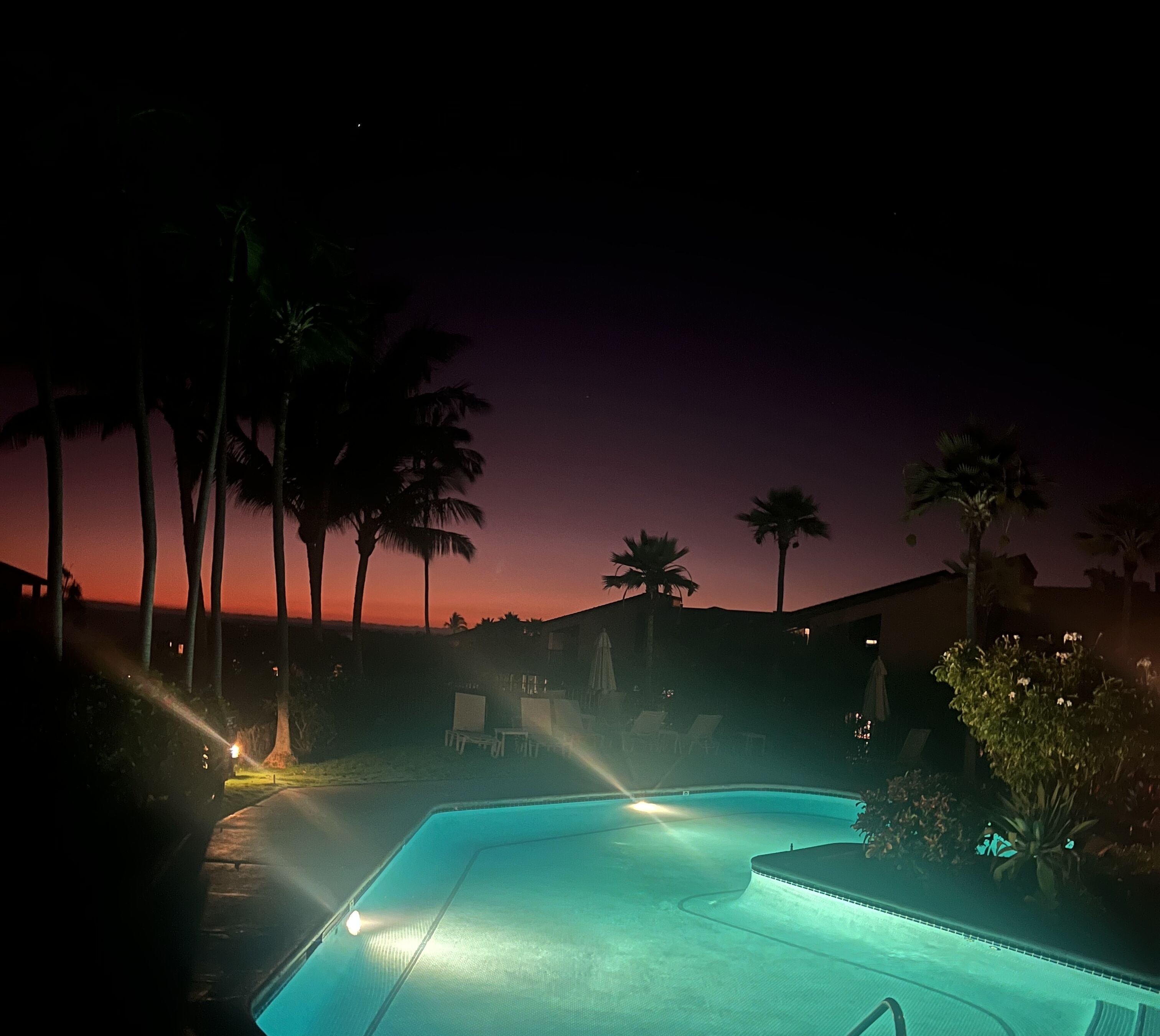 A swimming pool at dusk with palm trees and lounge chairs.