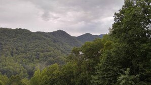 A forested mountain landscape with dense greenery and hills in the background. - Beautiful Mountain views with private balcony close to Asheville, NC (Barnardsville)