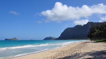 Beach nearby, sun-loungers, beach towels